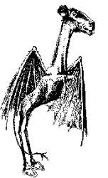 2630 B