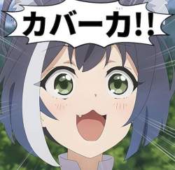 55638 B