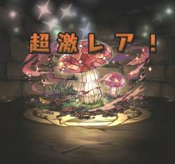 223282 B