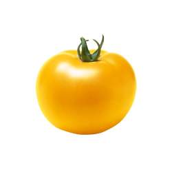 24208 B