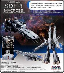 315586 B