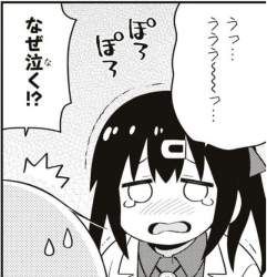 80294 B