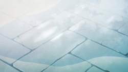 8142223 B
