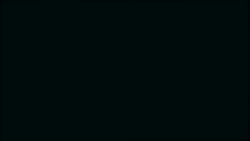 8053218 B