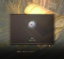 1012381 B