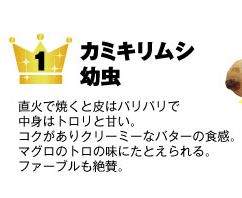 16733 B