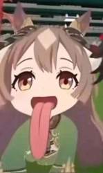 23960 B