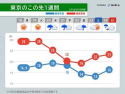 20146 B