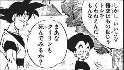 75881 B