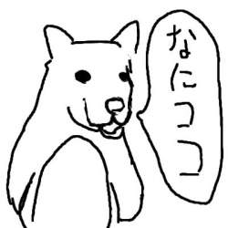 20810 B