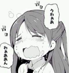 40654 B