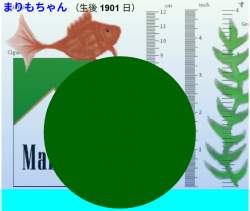 384936 B