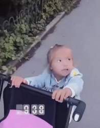 33666 B