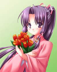 43871 B