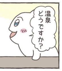 15798 B