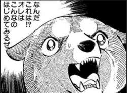 55209 B