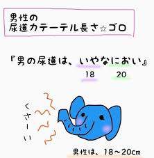 8293 B