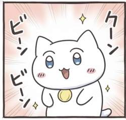 66276 B