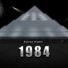 11804 B