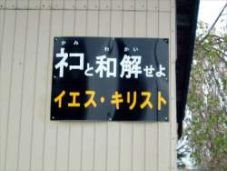 76929 B