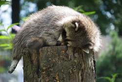 344202 B