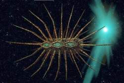 57889 B
