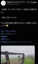 165827 B
