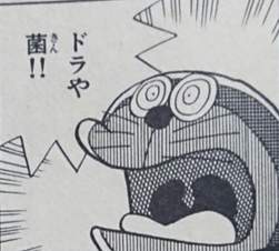 139727 B