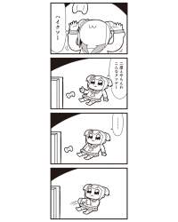 96906 B