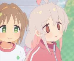 146329 B