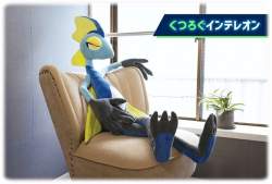 49219 B