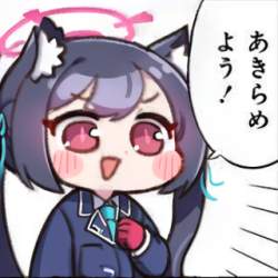 213392 B
