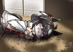 12218 B
