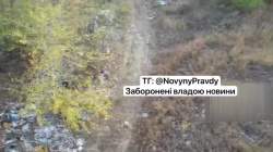 5491496 B
