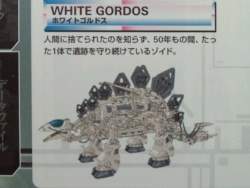 43253 B