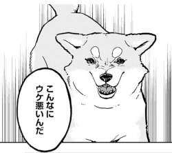 83370 B