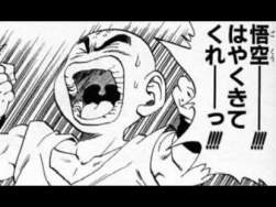 33634 B