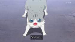 7979266 B