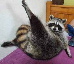 72198 B