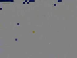 2562166 B