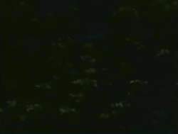 8115966 B