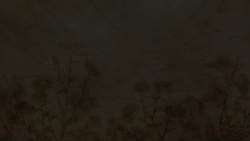 8180423 B