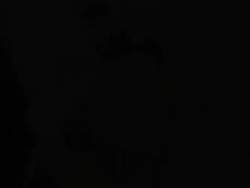 7659152 B
