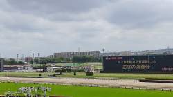 2124481 B