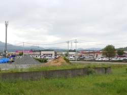 1155726 B