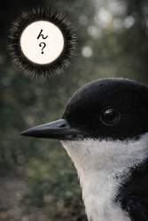 2482212 B