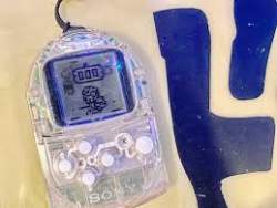 8848 B