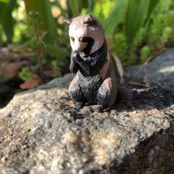 204859 B