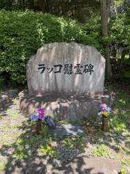 1116479 B