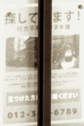 1187429 B